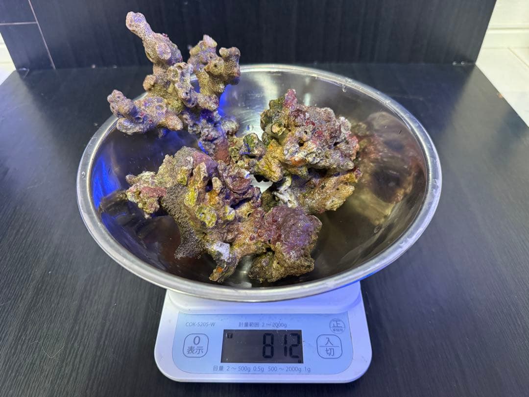 ナカジ 天然ライブロック 6.4kg (7個)
