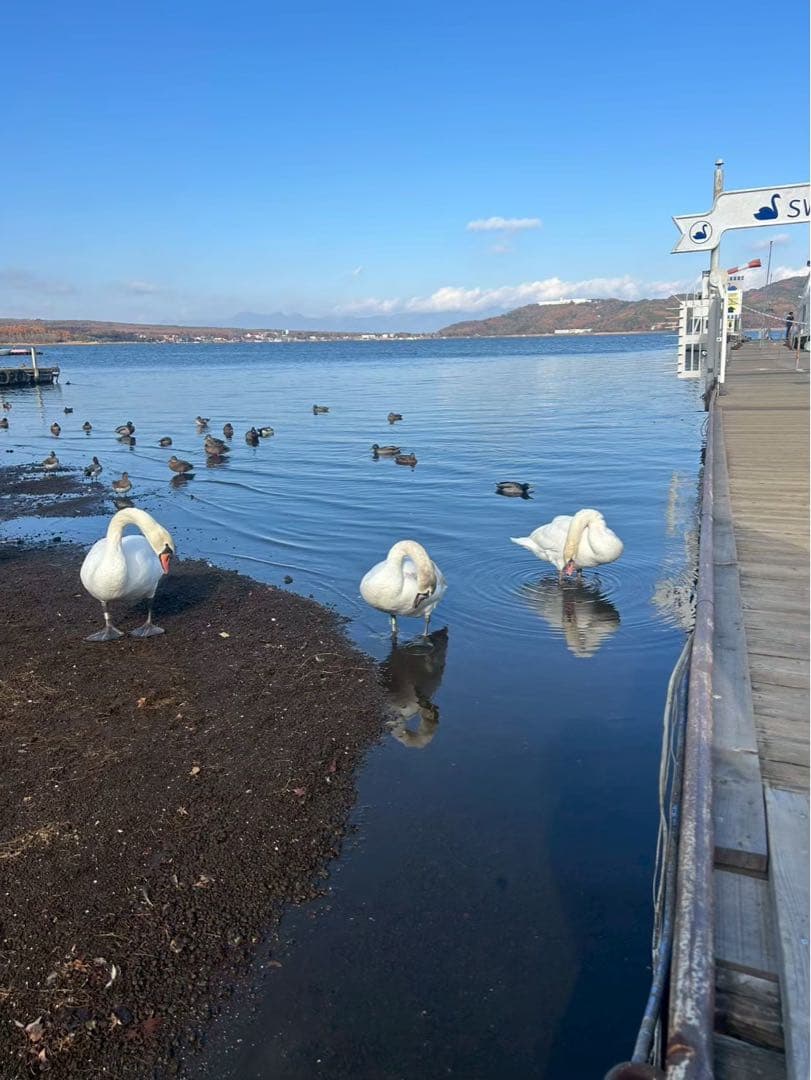 milkal 　Apple iPhone 14 スターライト