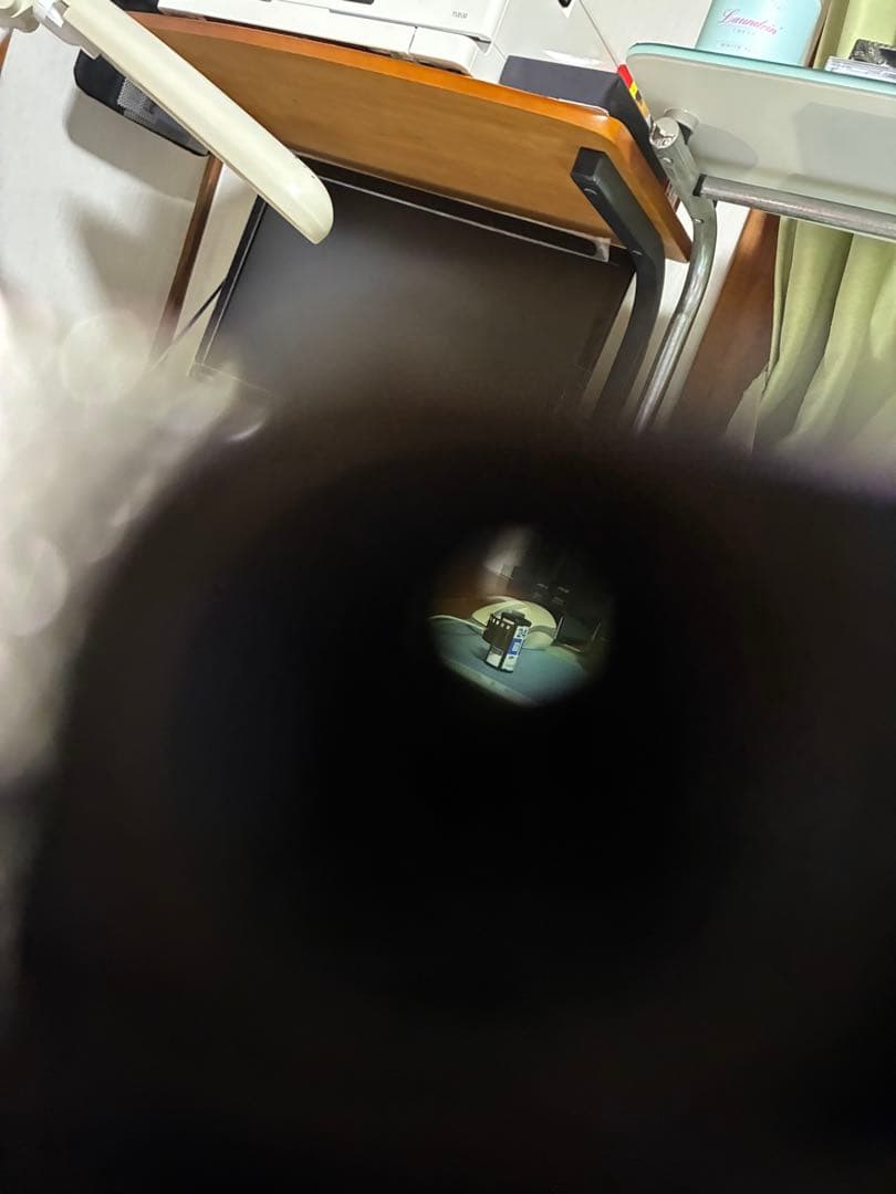 【作例あり】ライカD IIブラック