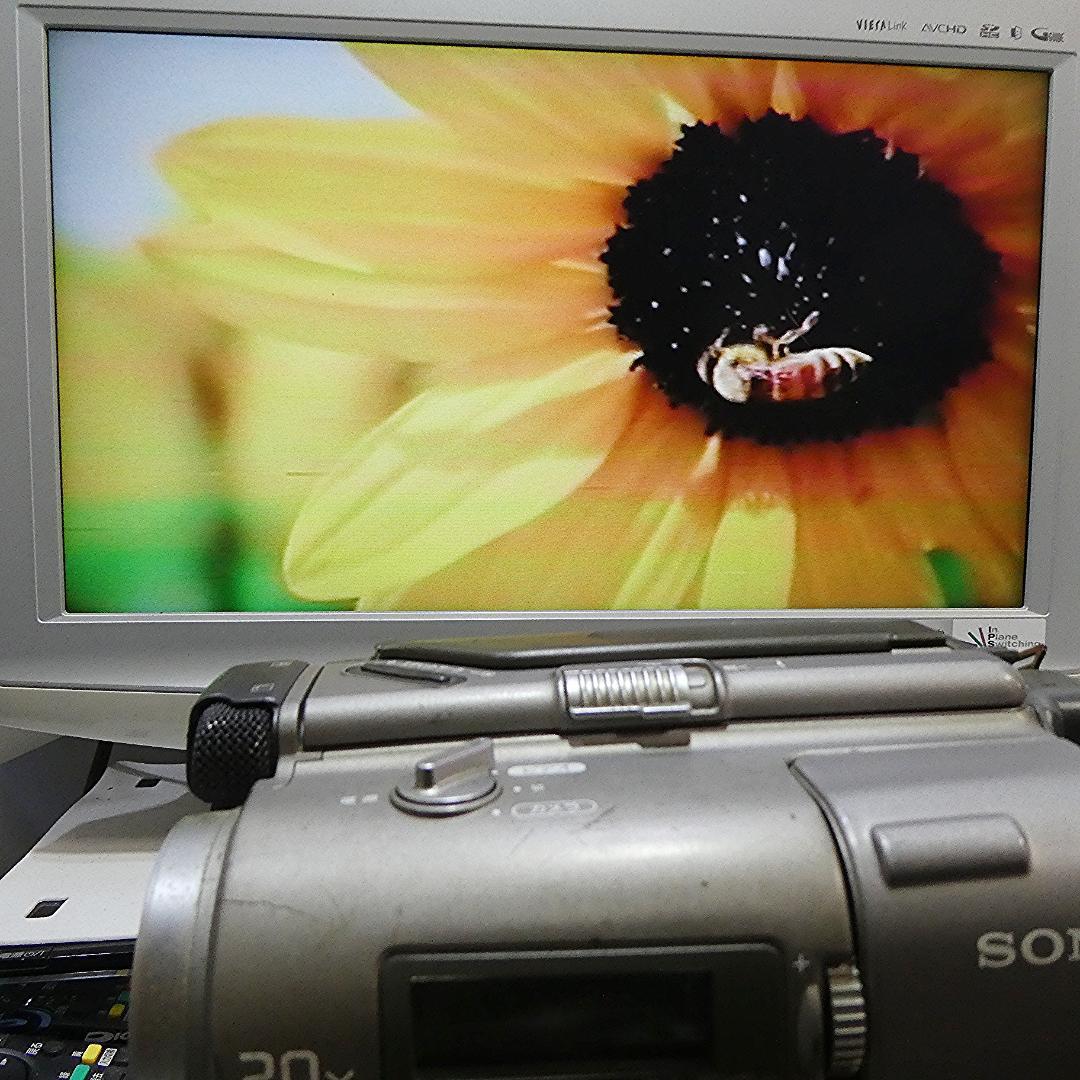 動作良好 ソニーVideoHi8 CCD-TR2 8ミリビデオ　DVD化に最適