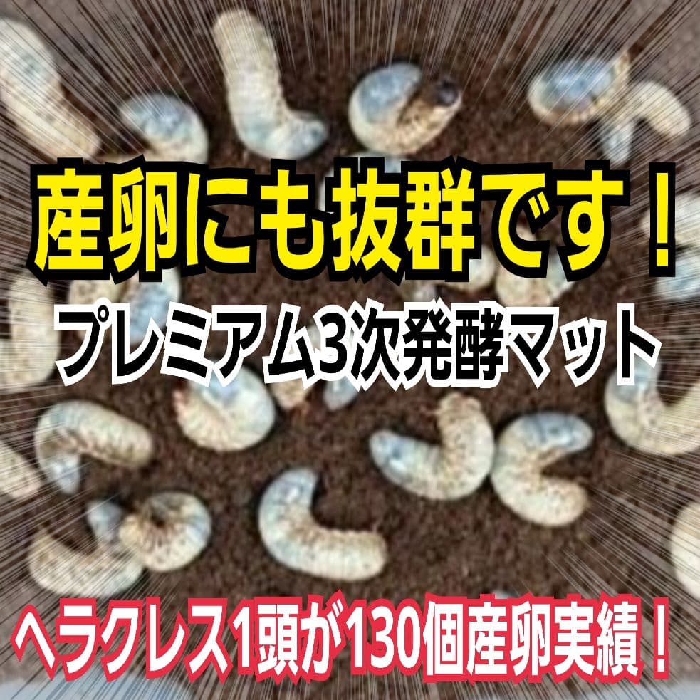 カブトムシ幼虫がビッグに！プレミアム3次発酵マット【90リットル】産卵にも抜群！