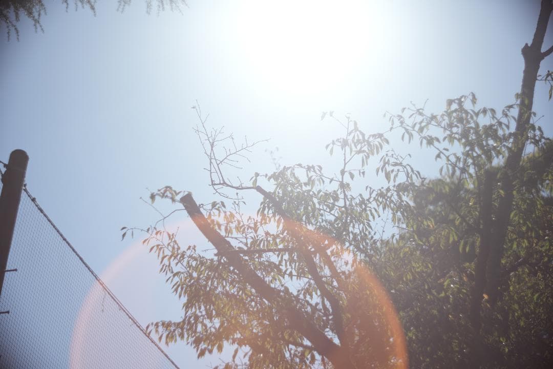 KMZ PO-2-2M 75mm f2 ライカMマウント改 オールドシネレンズ