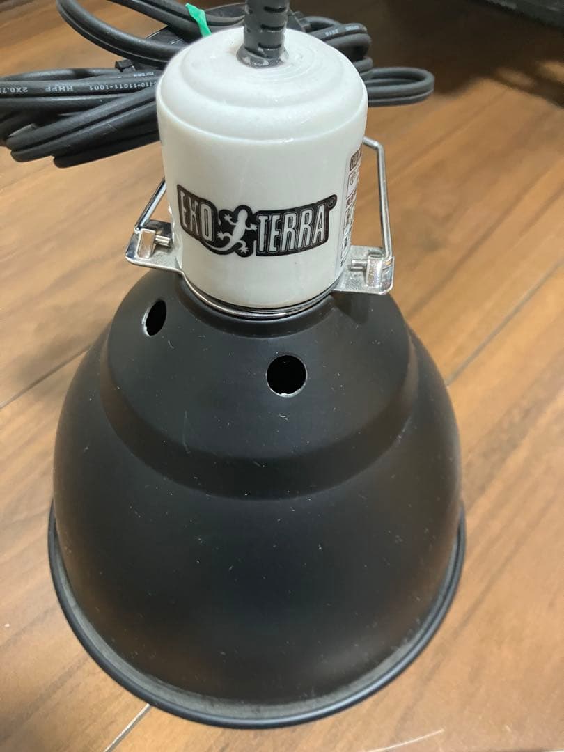 『直接手渡し』爬虫類飼育セット エキゾテラ4530