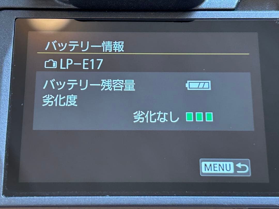 極美品（2024年11月購入）Canon EOS R8 ボディ（付属品　未使用）