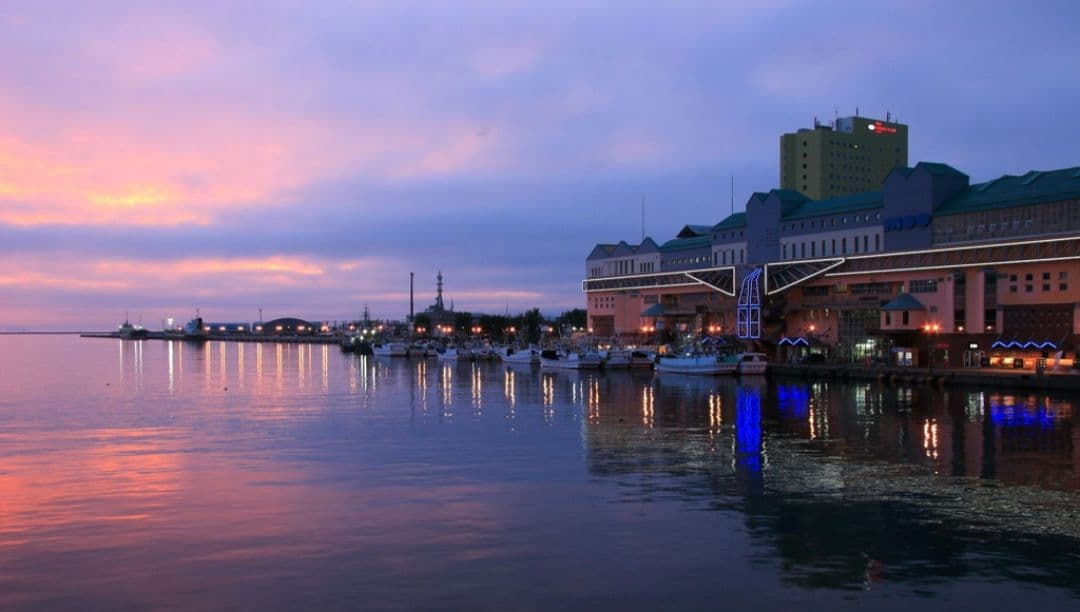 CANON　EOS　20D ダブルレンズ　初心者　一眼レフ⚡️キャノン⚡️望遠