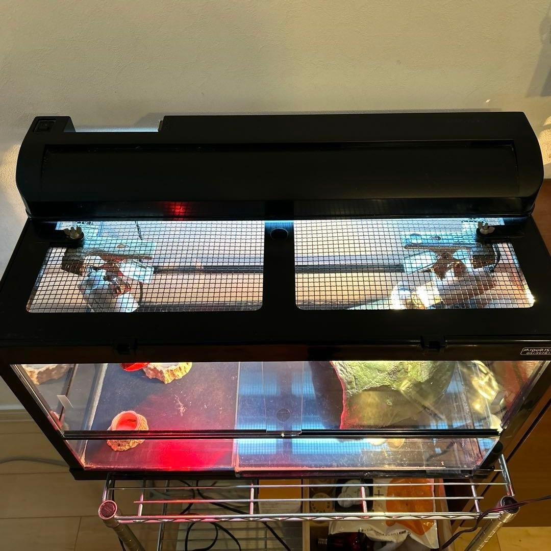 【リクガメ】【トカゲ】爬虫類飼育ケージセット