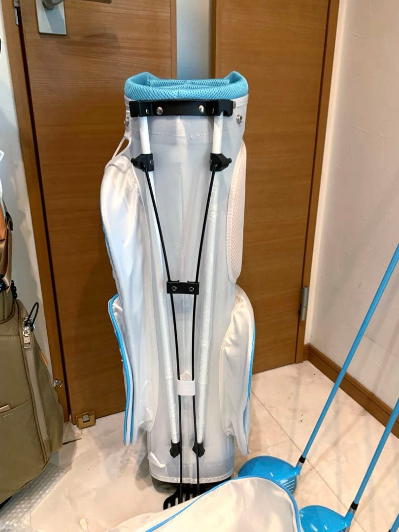 美品　現行品　ワールドイーグル　レディースゴルフクラブ 本格フルセット　プロ推進