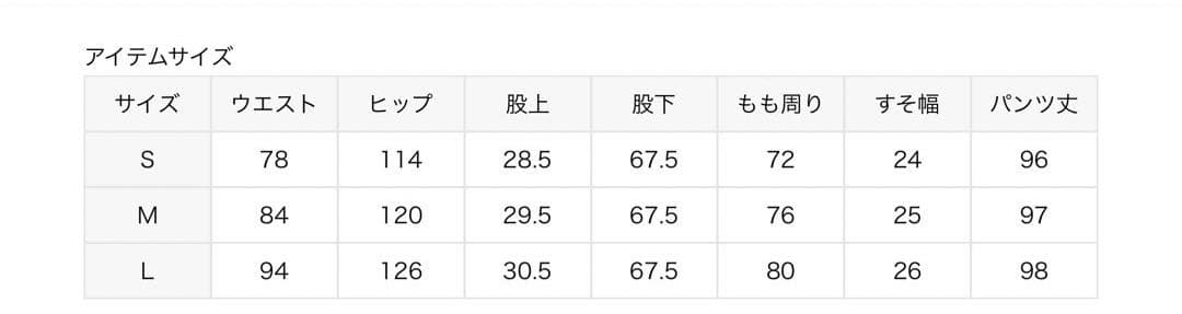 Sサイズ【新品】journal standard luxe「ビックチノ」