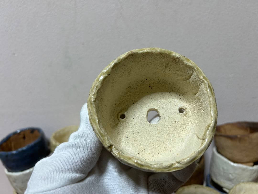 こけむすび