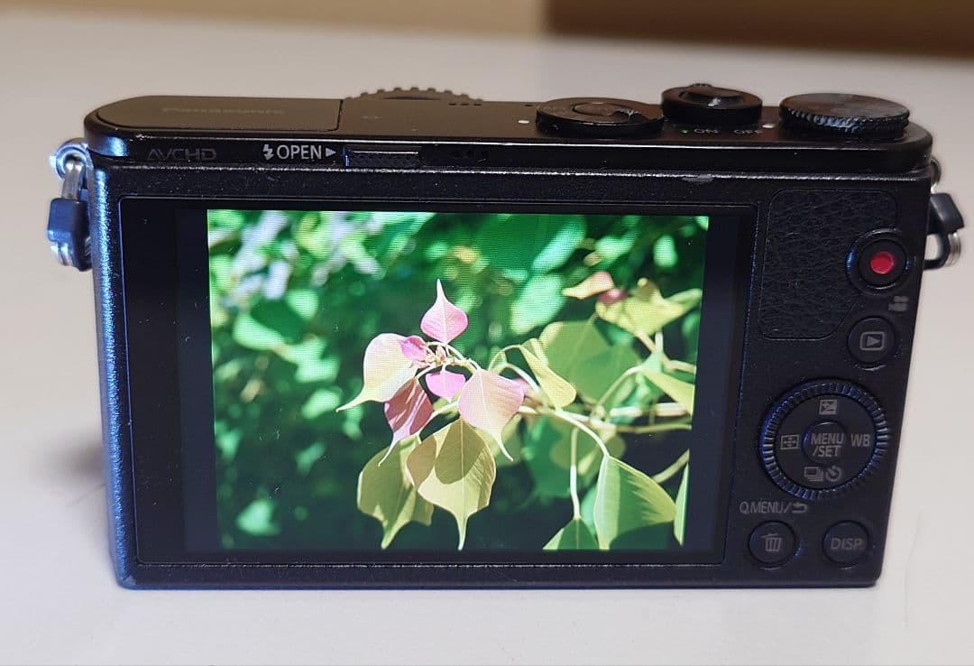 【極美品】LUMIX DMC-GM1 1600万画素 ボディ 最小・最軽量