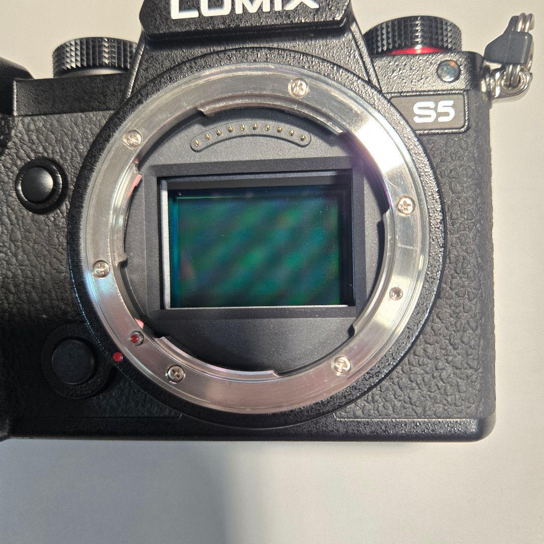 Panasonic LUMIX S5 & SmallRigケージ付き