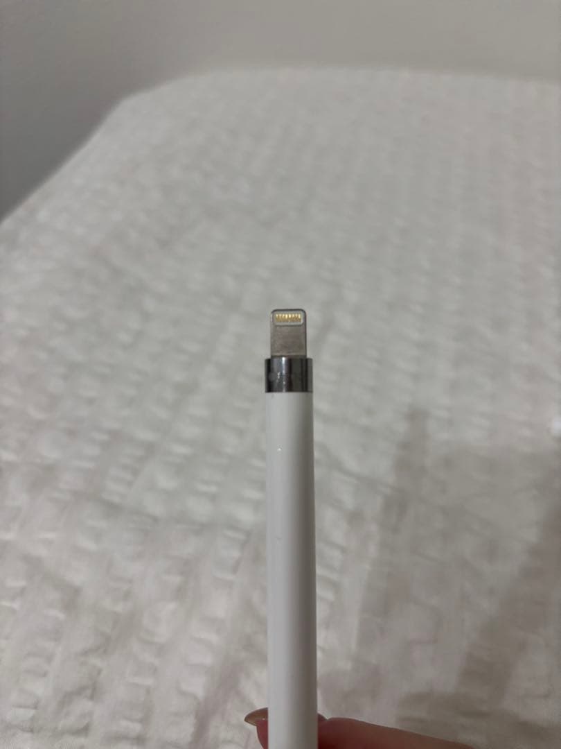 Apple iPad Pro 10.5インチ 純正Apple Pencil付き