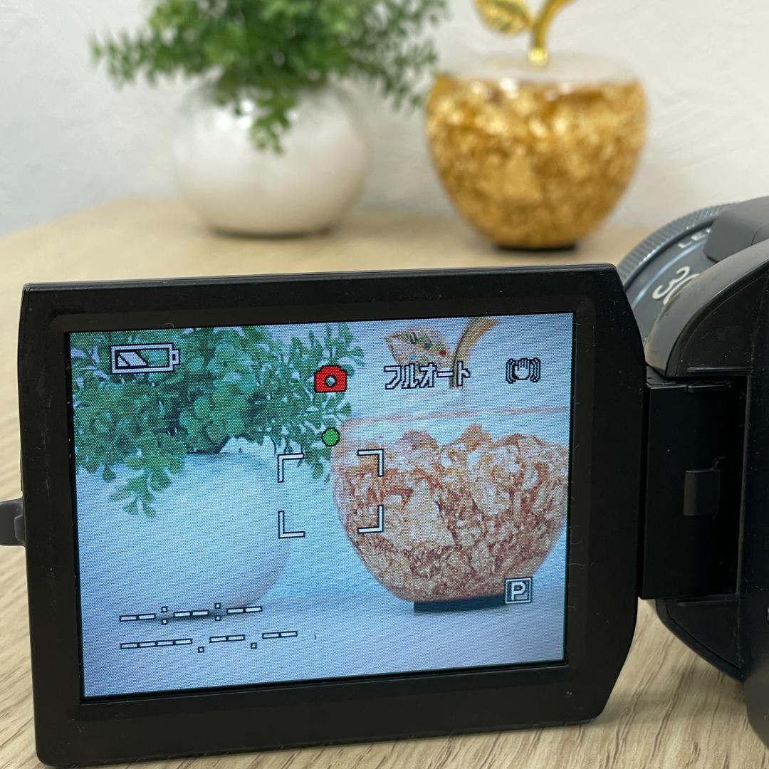 ◆Panasonic◆NV-GS400◆ブラック◆動作品◆付属品多数◆希少◆