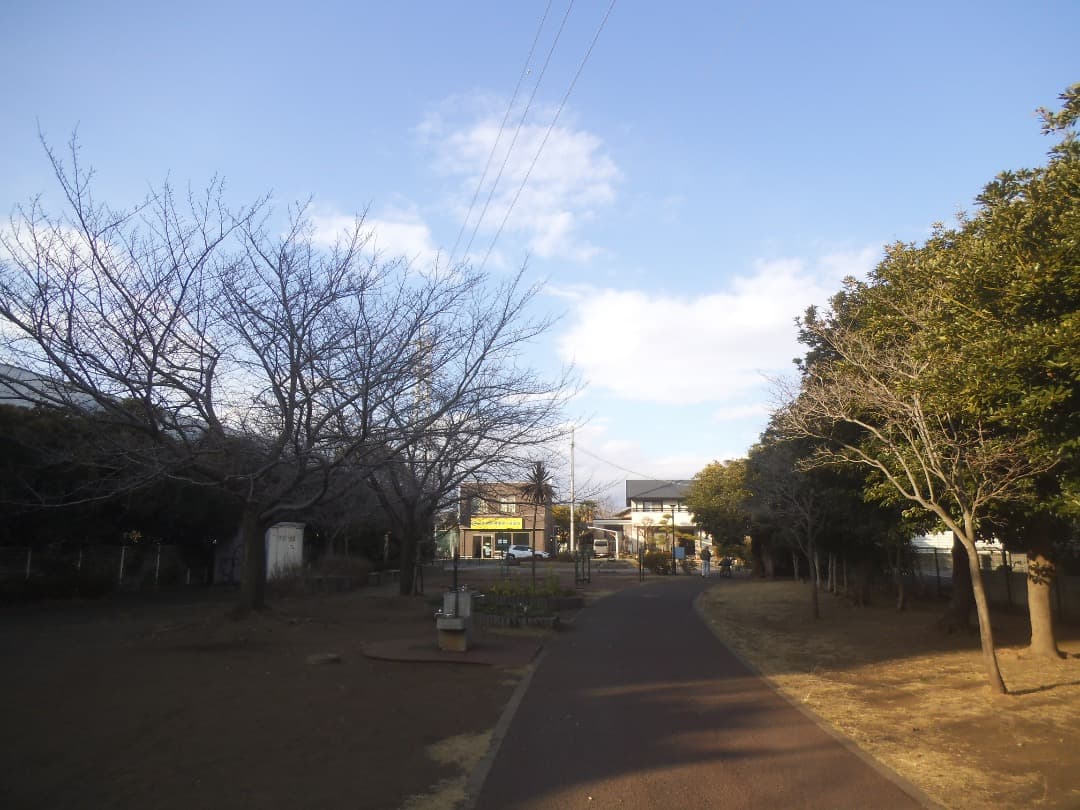 追加有⭕️【動作確認済】FUJIFILM FinePix JZ250 富士フイルム