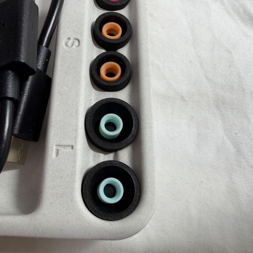 美品★ソニー WF-1000XM5 純正 ワイヤレスイヤホン