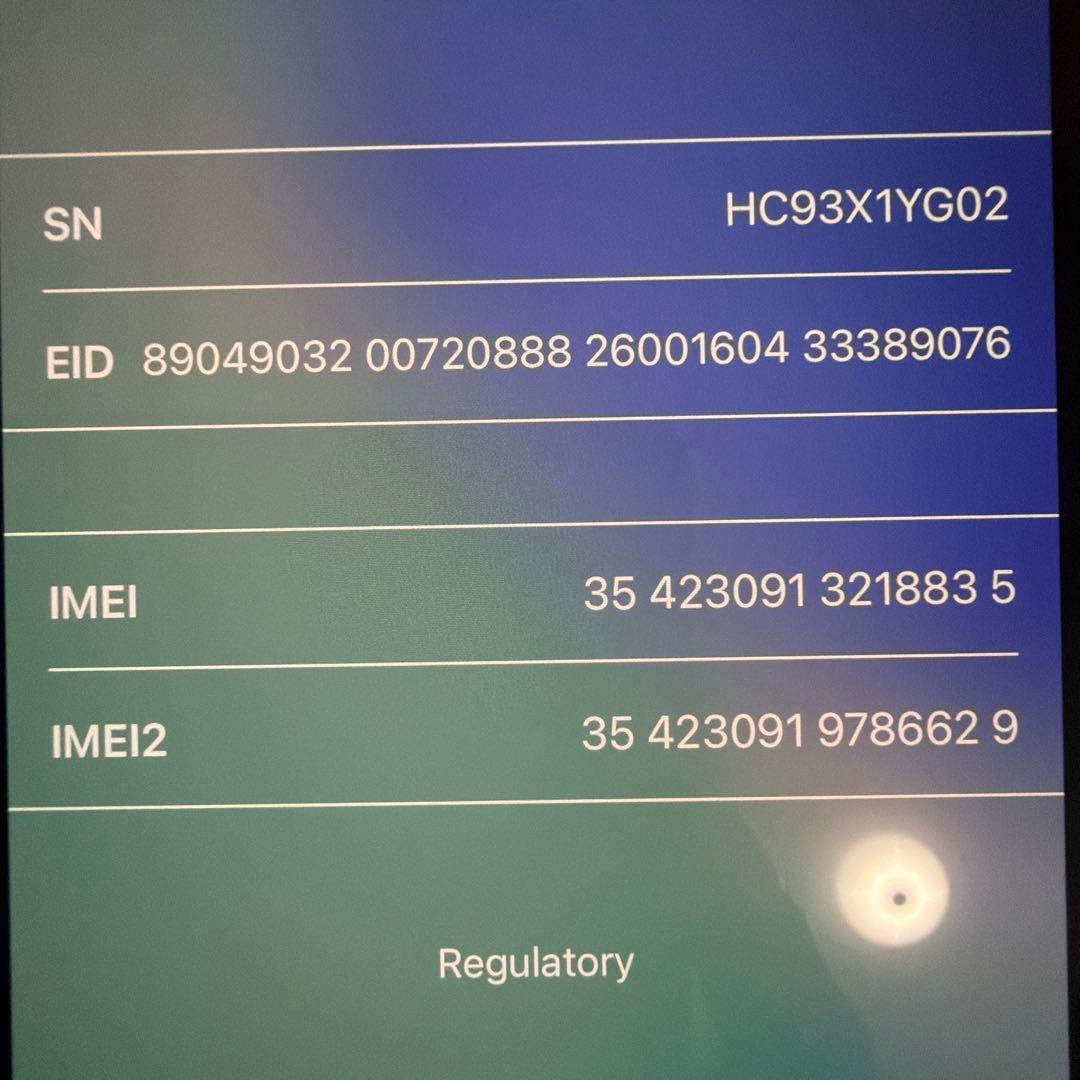 Apple iPhone 15 Pro ブルーチタニウム　本体