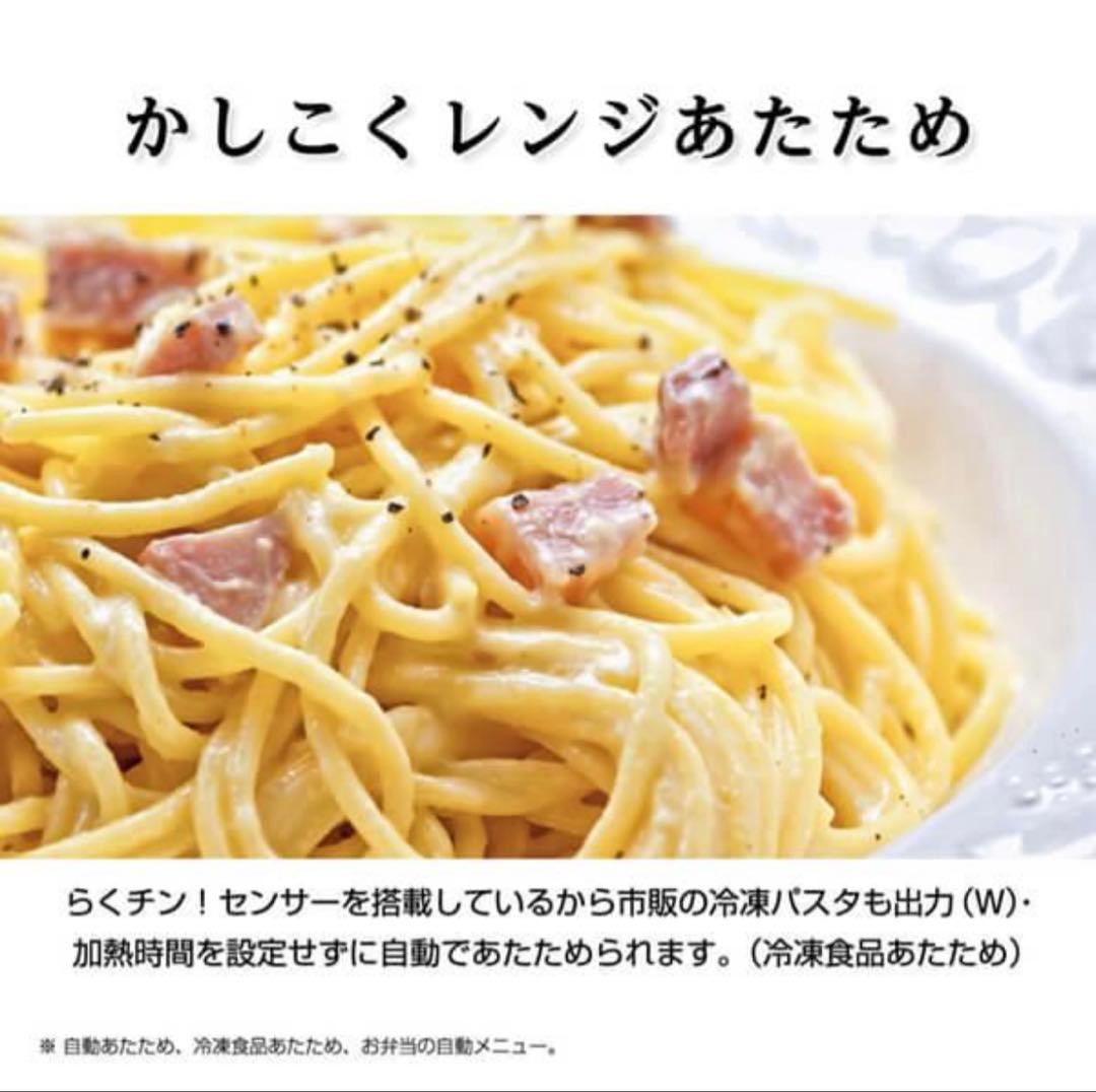 SHARP 電子レンジ PLAINLY RE-TS171-W 17L 22年製