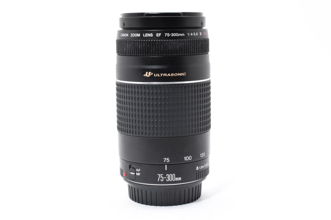 超望遠レンズ スポーツ観戦や旅行 Canon EF75-300㎜ III USM