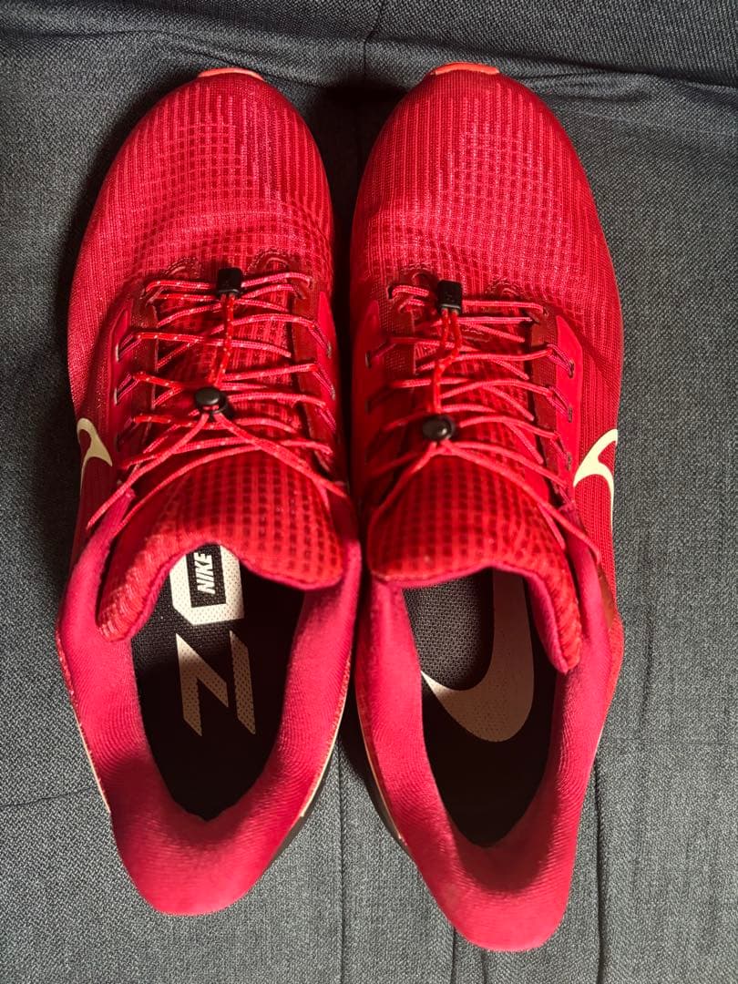 Nike ナイキ エアズームペガサス39 By You 28cm〜28.5cm