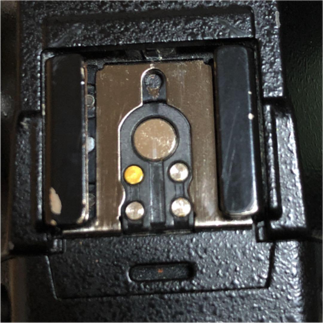 ★Panasonic LUMIX DC-S1