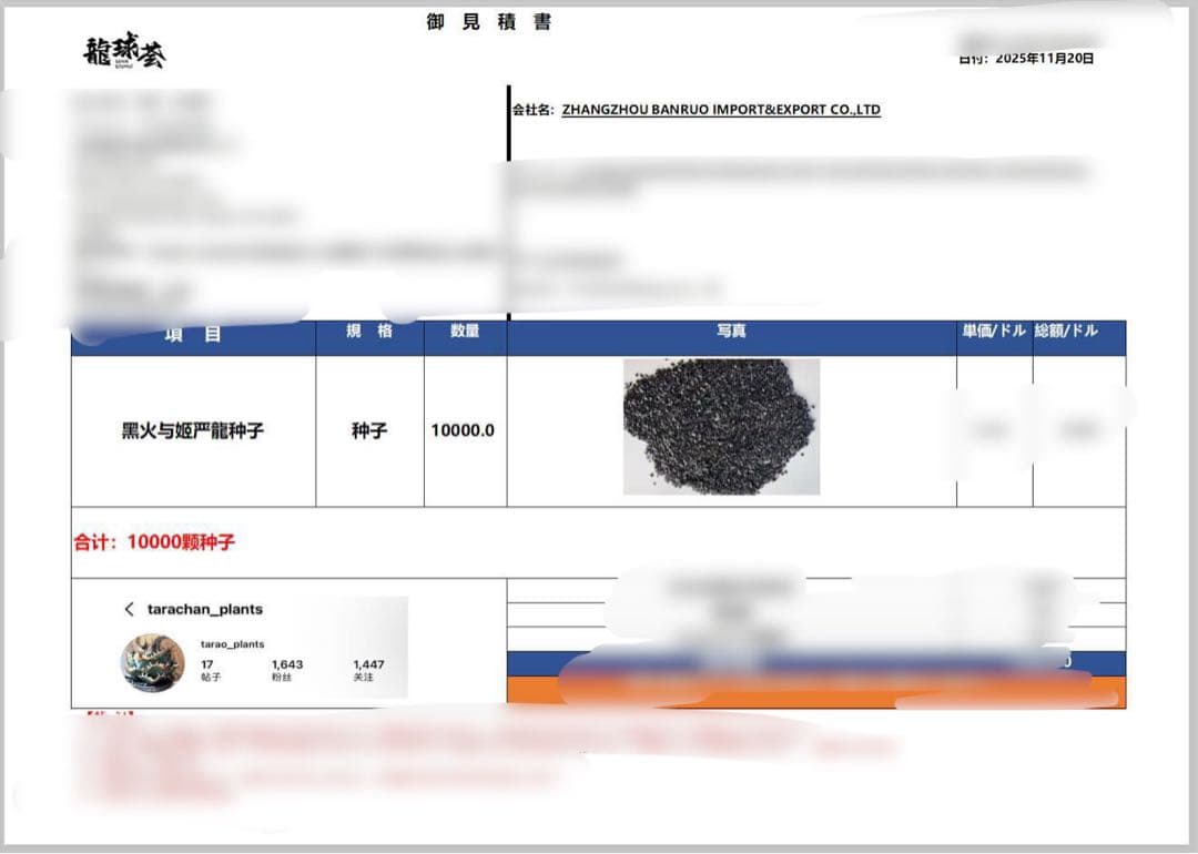 【数量限定】アガベ　オテロイ　種子　姫厳竜×黒火焔 50粒