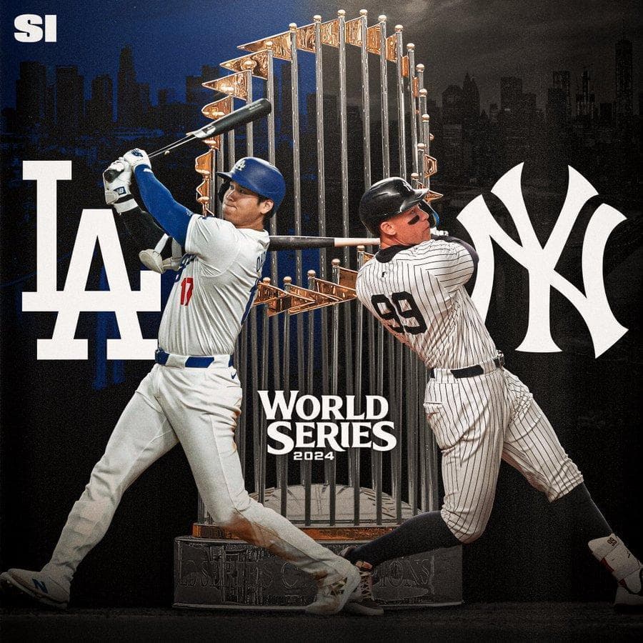 大谷翔平 2024 ワールドシリーズMLB公式使用球専用ケース入限定品