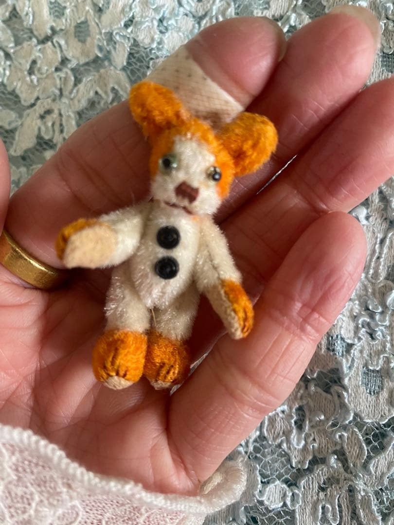 個性的 テディベア 作家さん