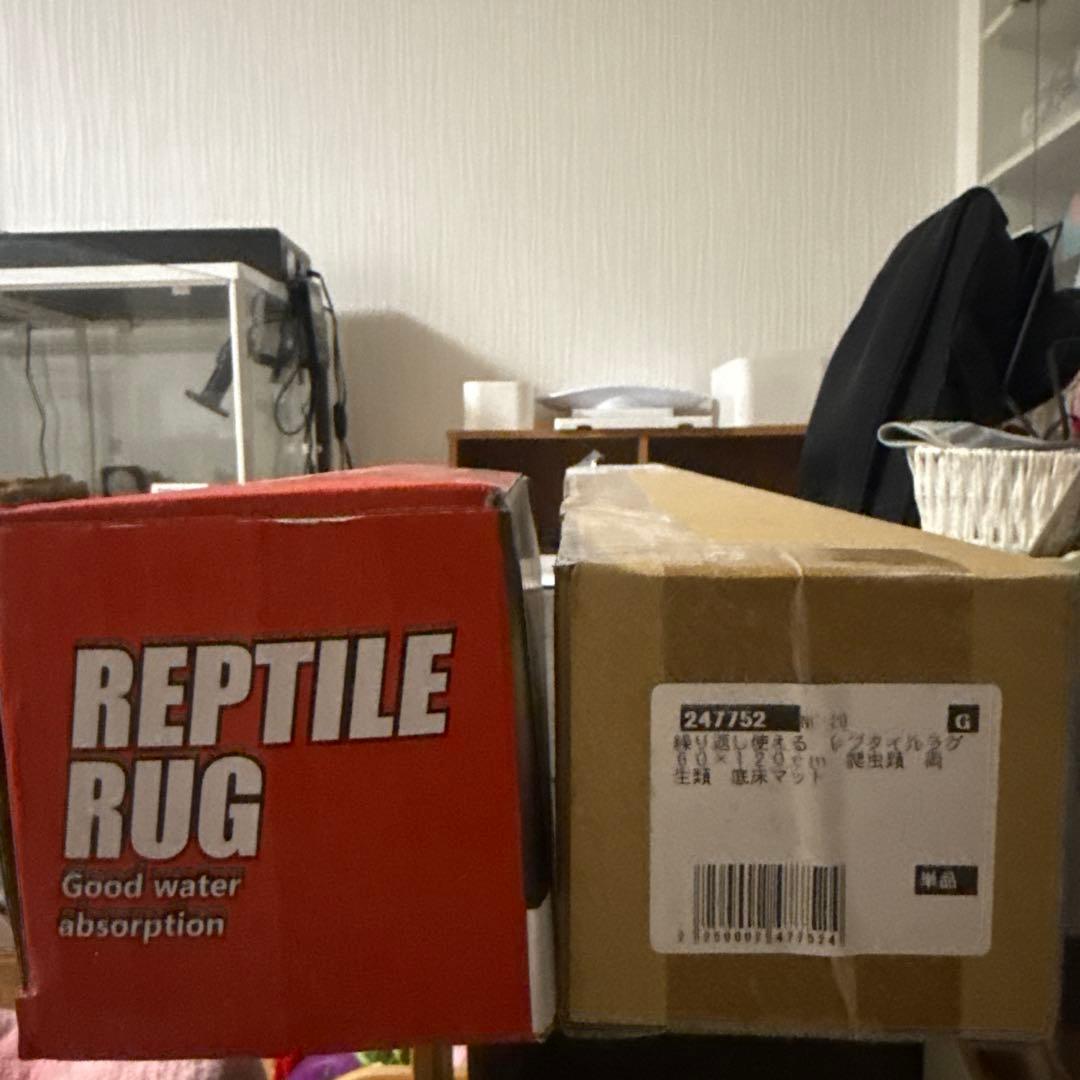 SANKO パンテオンカノンホワイト 　爬虫類 ケージ セット（引き取り限定）