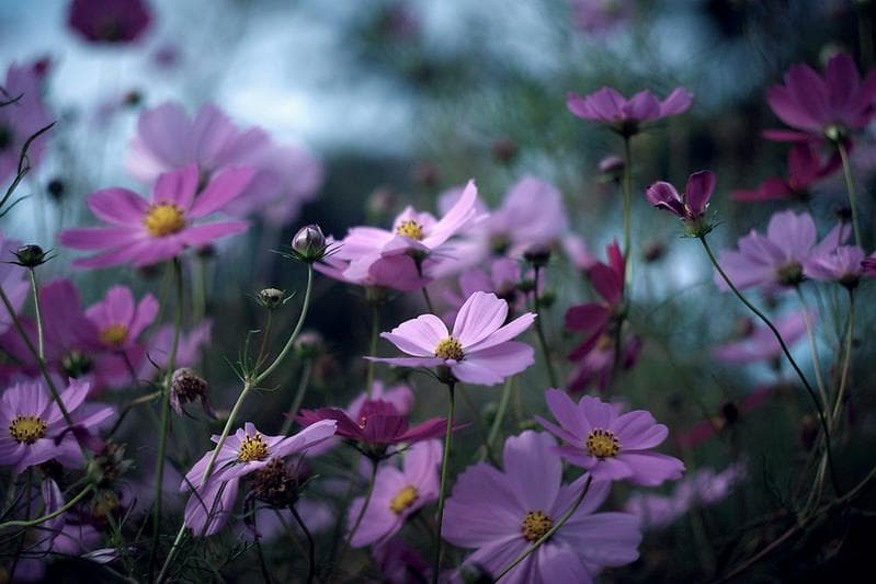 68　いとう7014　アダプターなしです。