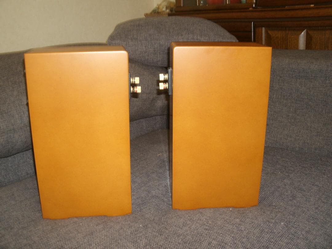 再再値下げ　バックロードホーン　ハセヒロ