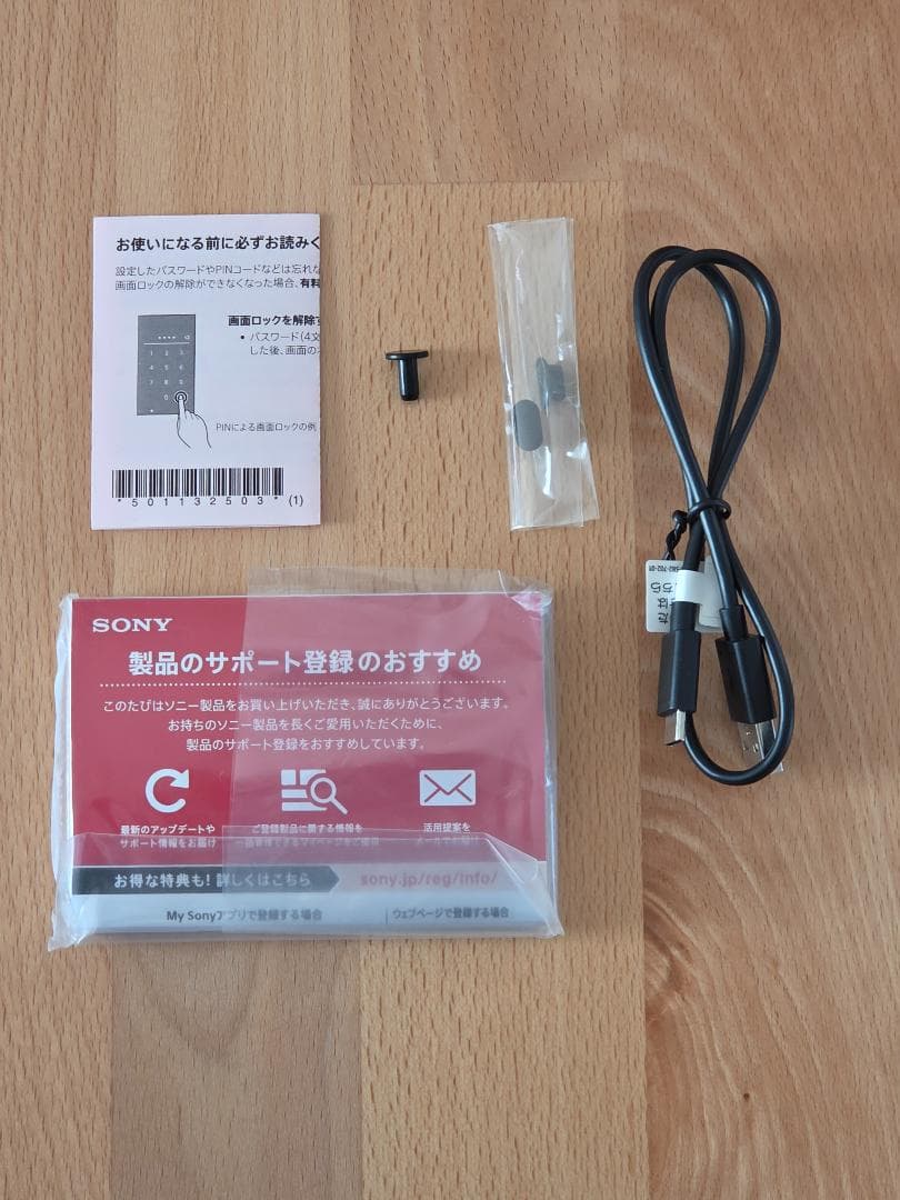 SONY ウォークマン NW-ZX507　専用レザーケース＋おまけ付き