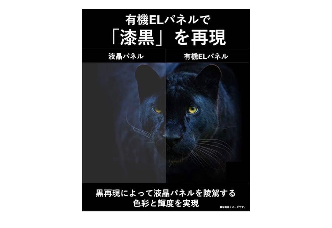 【かいじゅうぶーうごん様】Panasonic 2019年製 TH-55FZ950