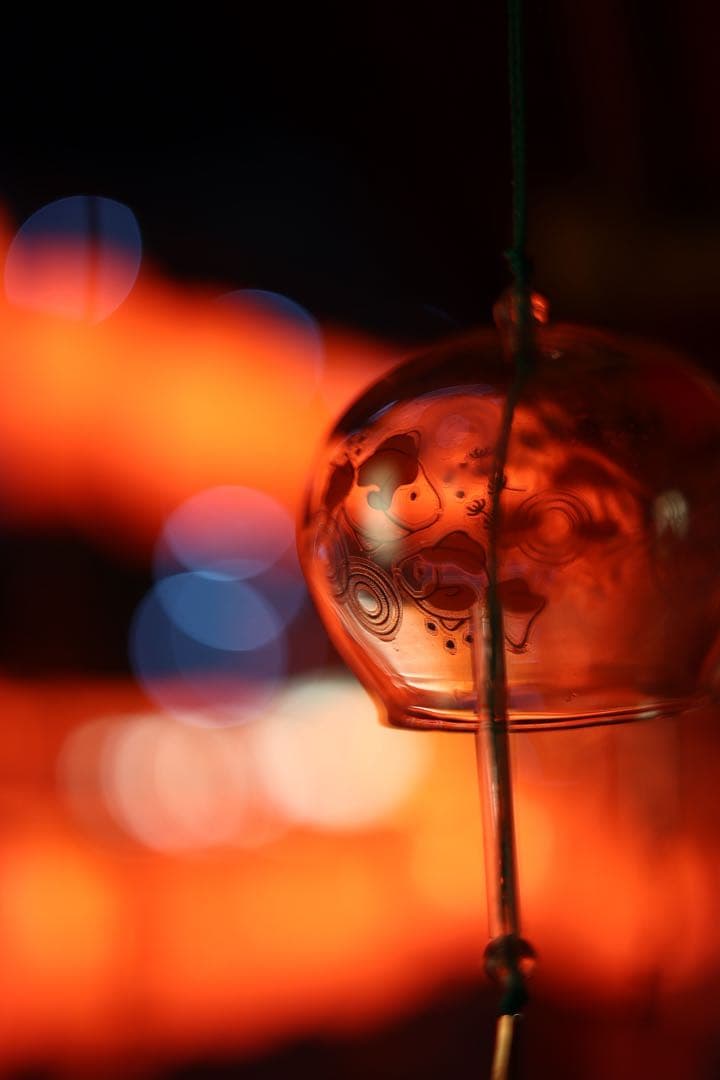 バラ売り可Canon EOS R6RF 24-105mm F4 50mmF1.8