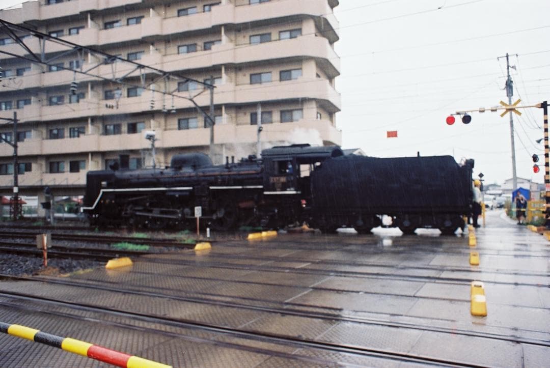 【実写確認整ペトリV6Ⅱ／Petri55mmf1.8メタルフード付