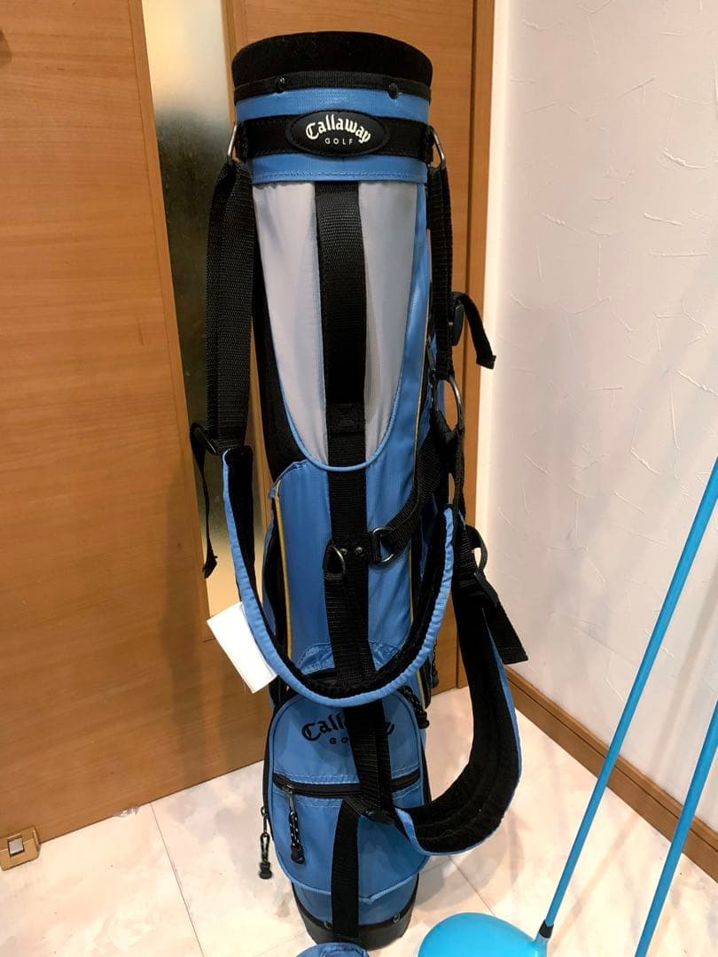 豪華　レディースゴルフクラブ 本格フルセット　ワールドイーグル　プロ推進　優しい