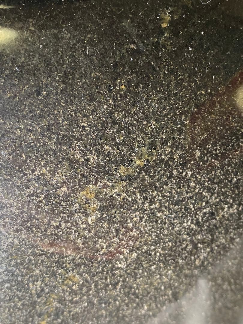 2278❣️黒御影石　招き猫　石像　彫刻　オブジェ