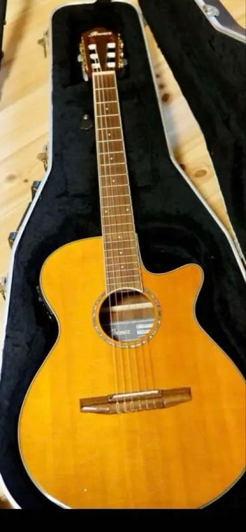 ハードケース付 Ibanez アイバニーズ AEG10NII-TNG エレガット