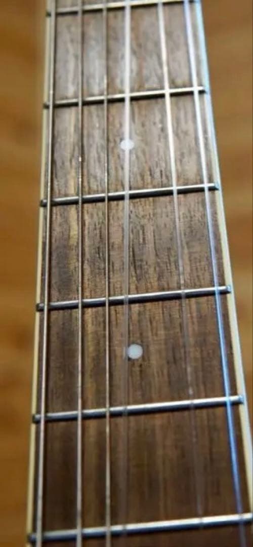 ハードケース付 Ibanez アイバニーズ AEG10NII-TNG エレガット