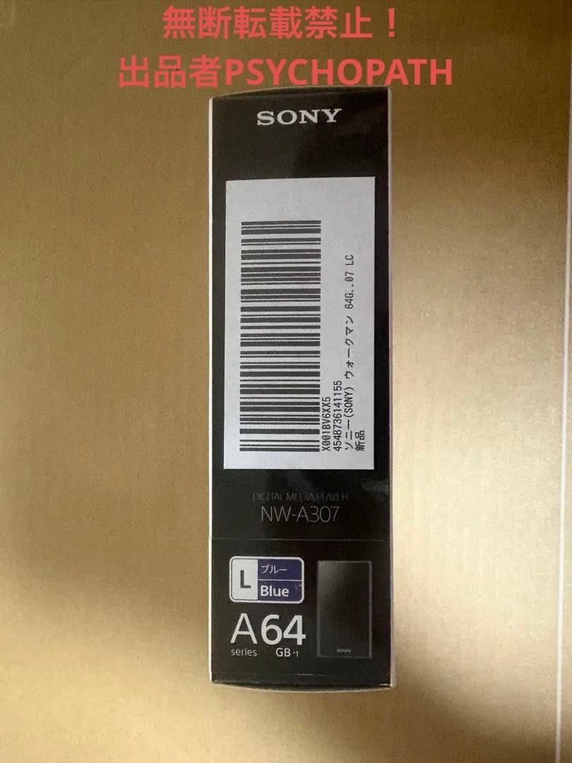 SONY NW-A307 64GB フィルム・SanDisk SD256GB付