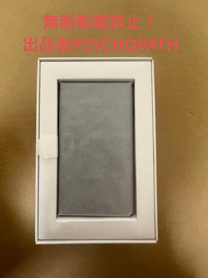 SONY NW-A307 64GB フィルム・SanDisk SD256GB付