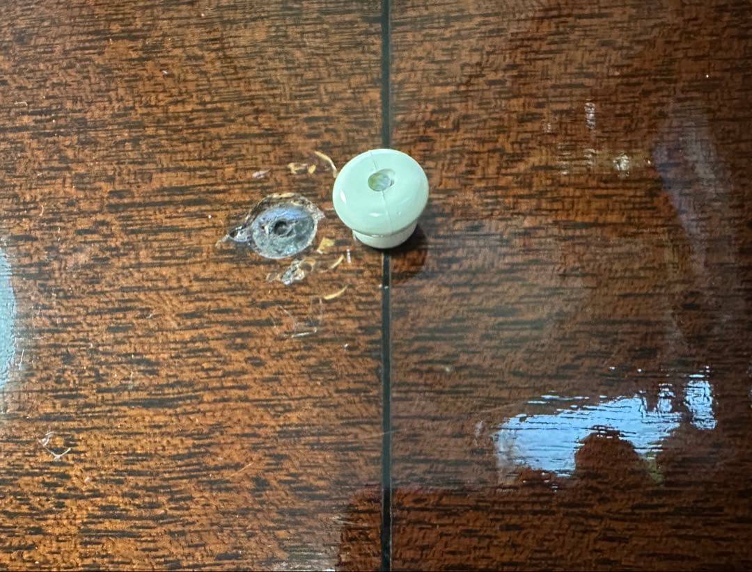 Takamine F340S タカミネ Lawsuit