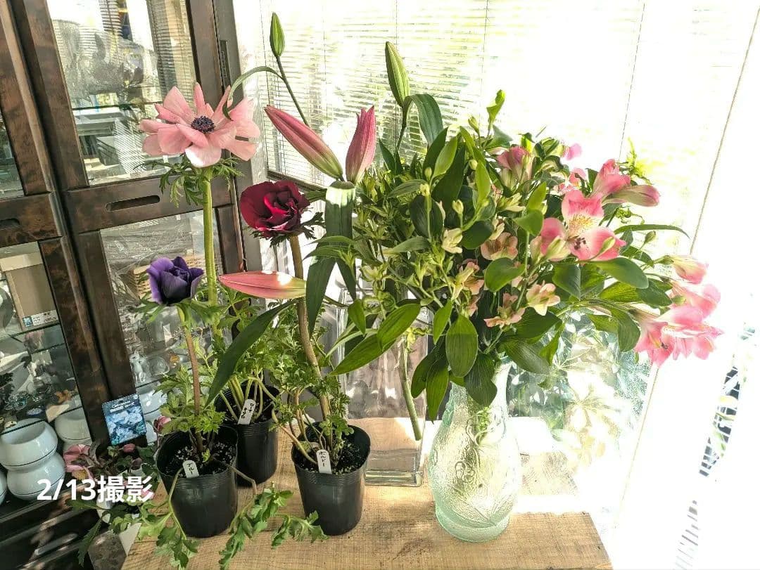 ♡はるかぜ様♡