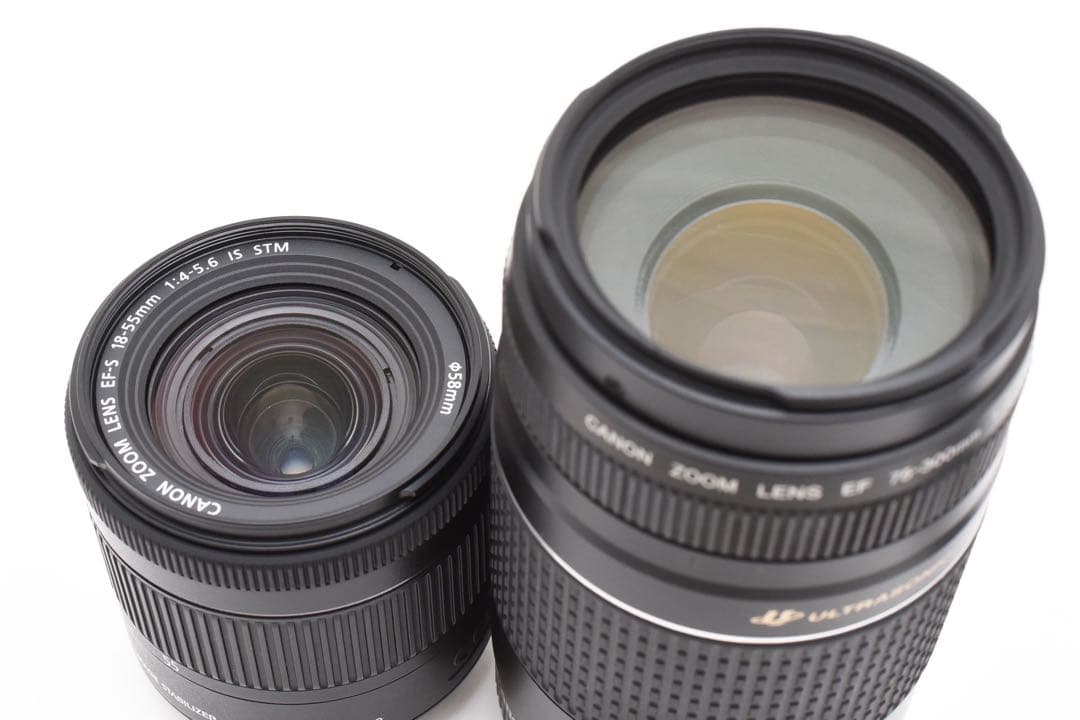 一眼レフカメラCanon EOS 90D標準&望遠ダブルレンズセット