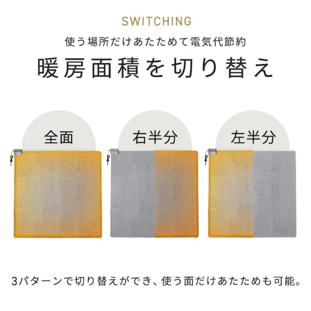 アイリスホットカーペット 3畳195×235 温度調節無段階 HCM－T2420