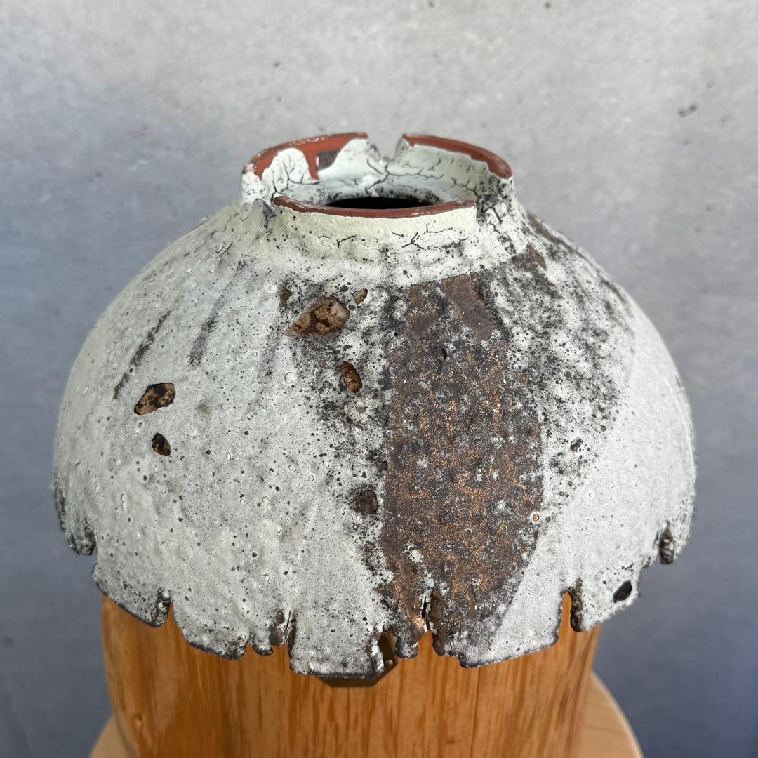 たけろうポット 安西岳郎 芽の巣山 大鉢