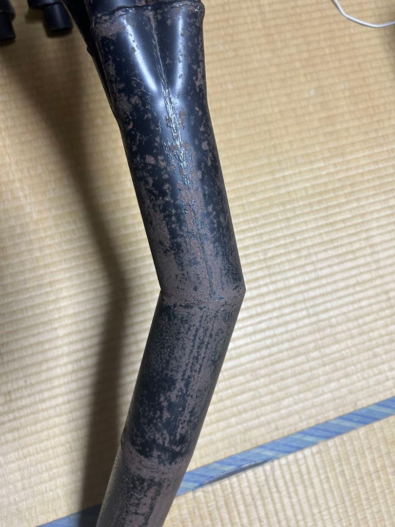 レオちん