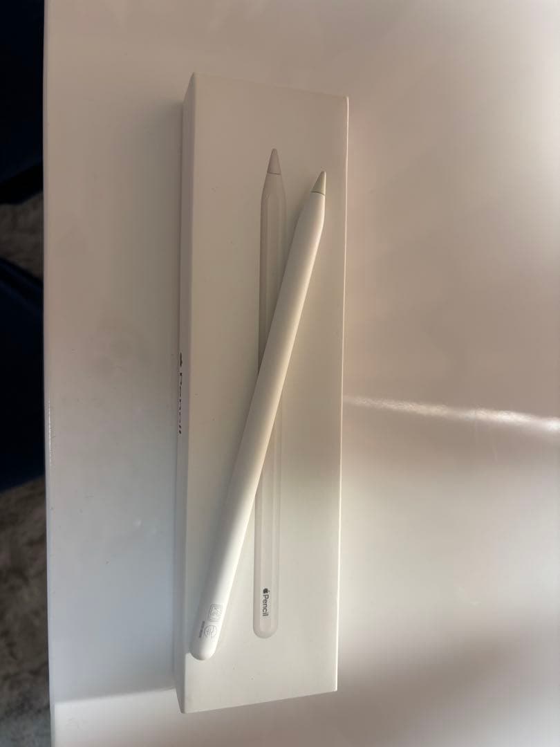 〈極美品〉iPad Air 第5世代 256GB＋アップルペンシル第2世代