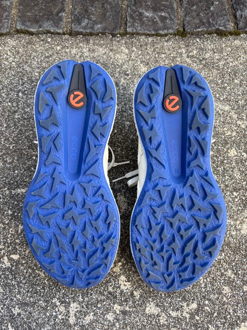 ecco BIOM H5 ゴルフシューズ　サイズ39