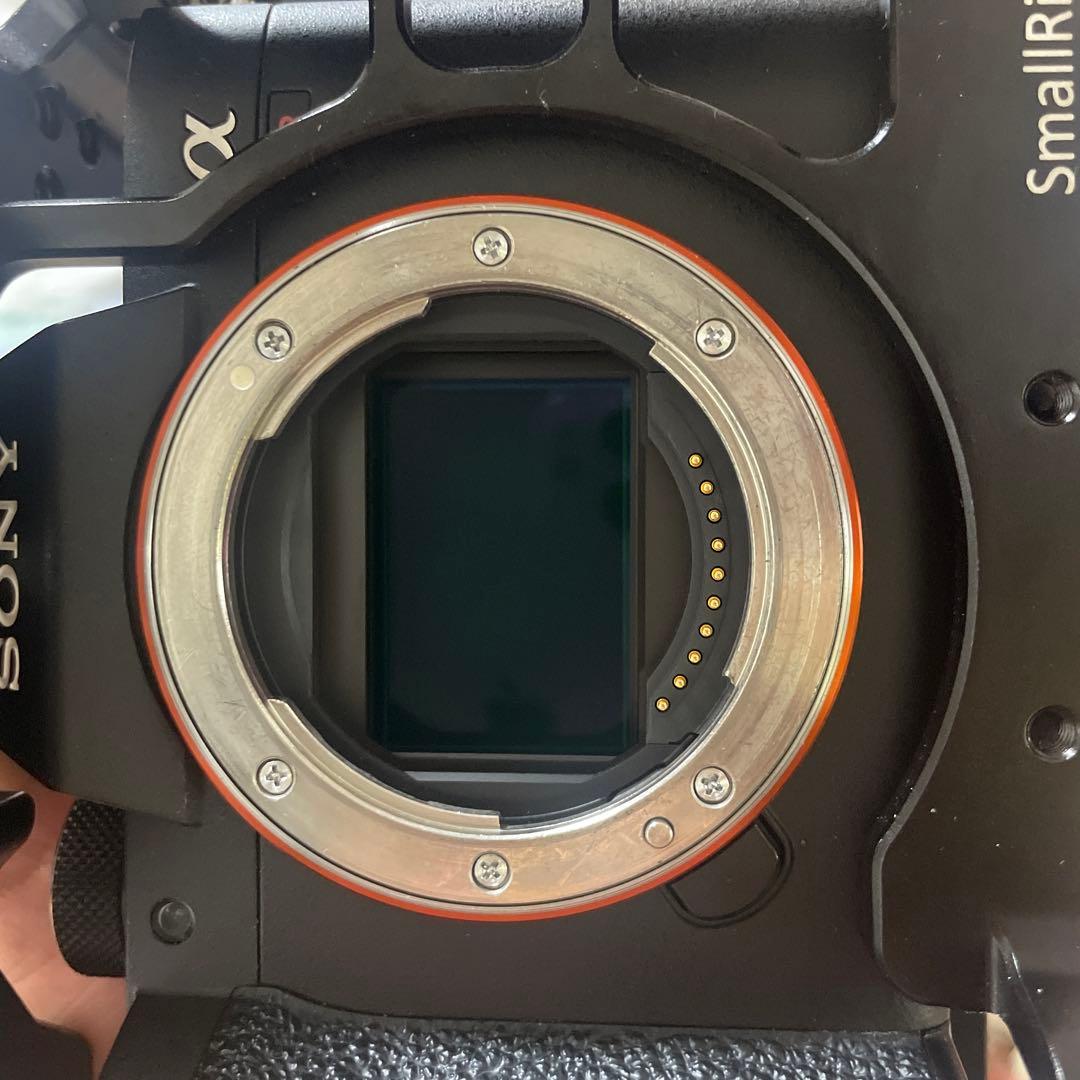 sony a7rm4 シャッター数が3万ぐらいです