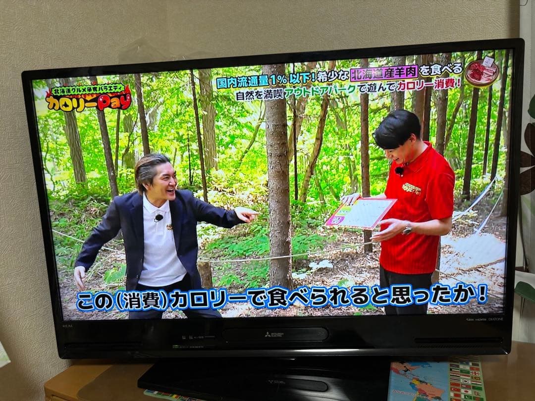 Blu-ray再生機能付き液晶テレビ　40インチ　三菱LCD-V40BHR10